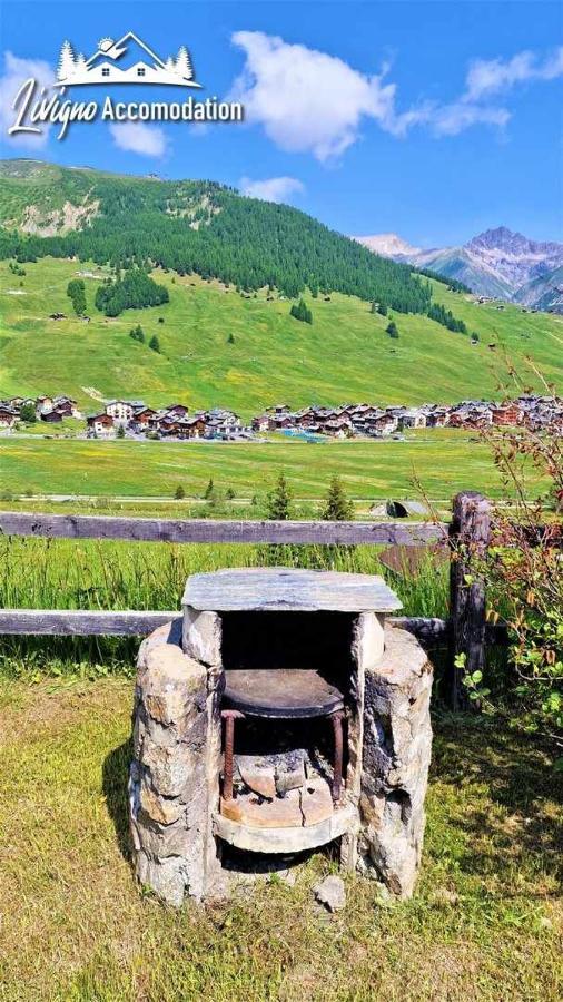Chalet Rododendro Forest By Livigno Accomodation Экстерьер фото